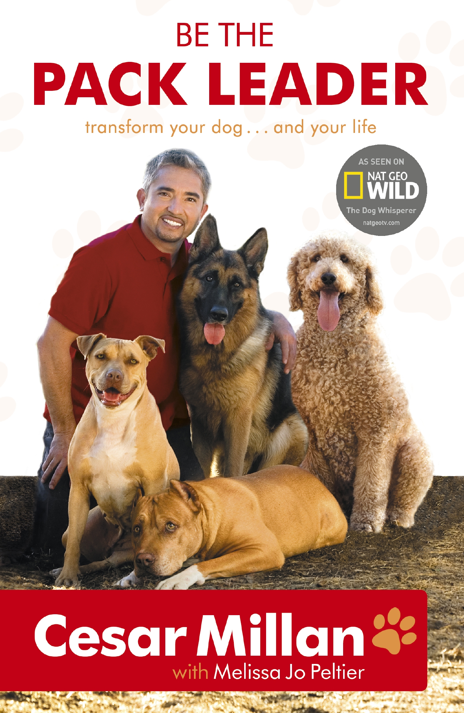 Cesar Millan Leader Of The Pack