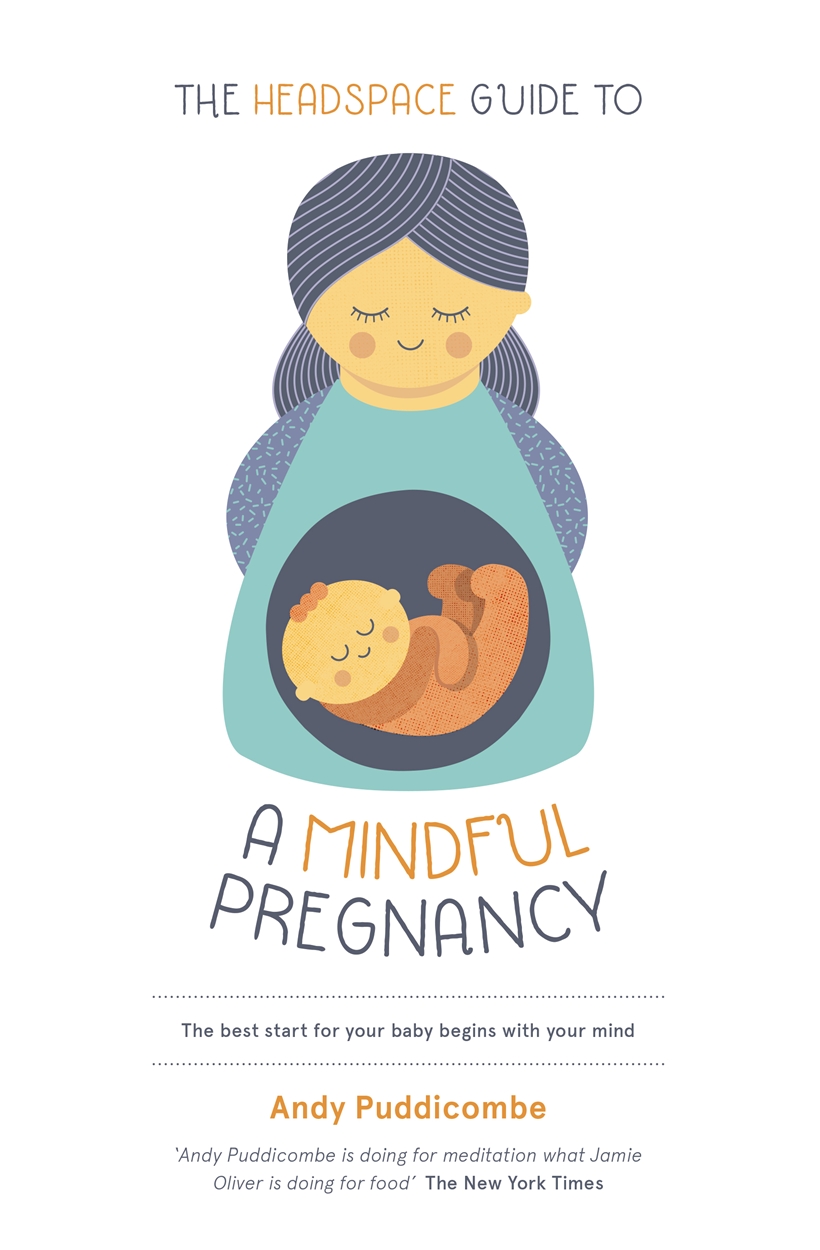 Andy　Pregnancy　The　Headspace　Hachette　Mindful　Guide　Puddicombe　by　UK