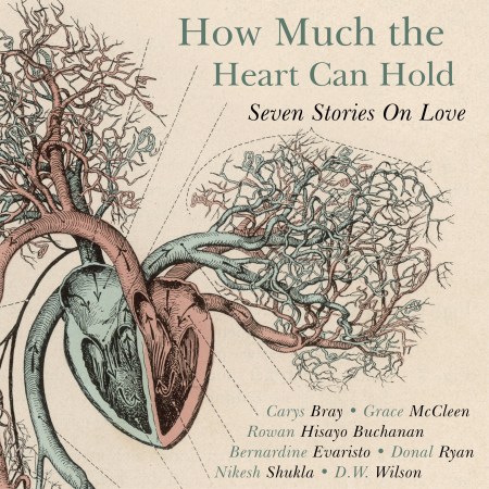 How Much the Heart Can Hold: the perfect alternative Valentine's gift