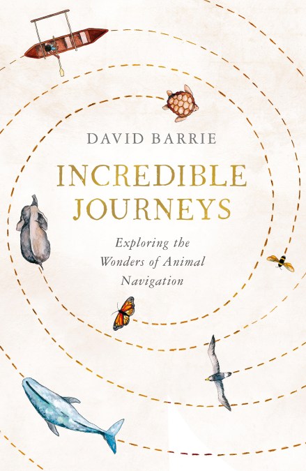 Incredible Journeys