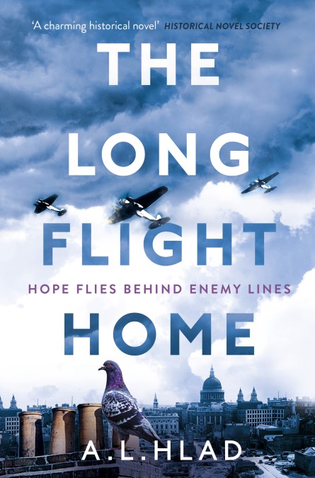 The Long Flight Home