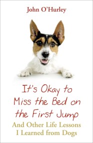 It’s OK to Miss the Bed on the First Jump
