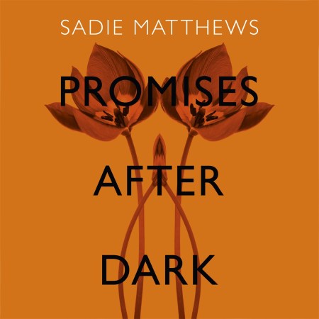 Promises After Dark (After Dark Book 3)