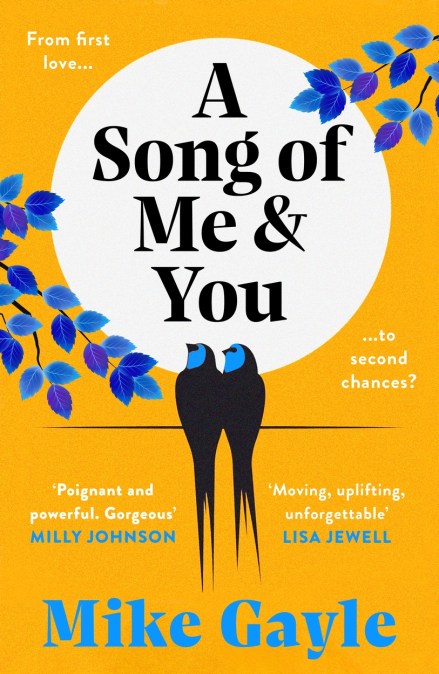A Song of Me and You