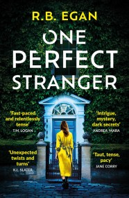 One Perfect Stranger